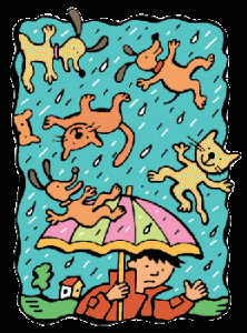 raining-cats-and-dogs1