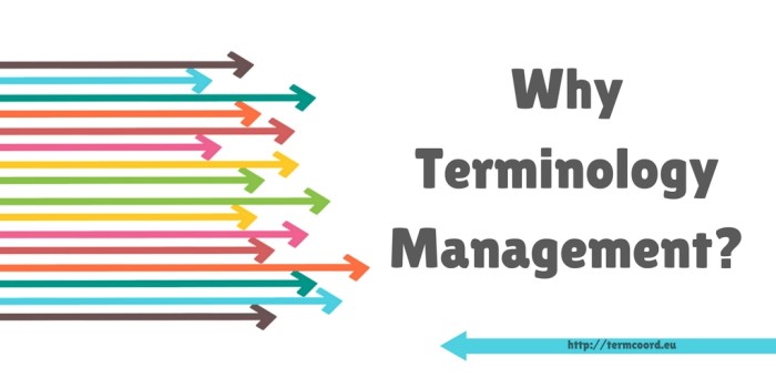 Why Terminology Management_