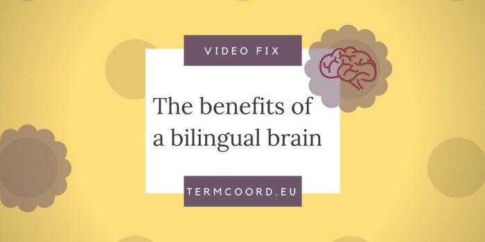 Video Fix Bilingual Brain