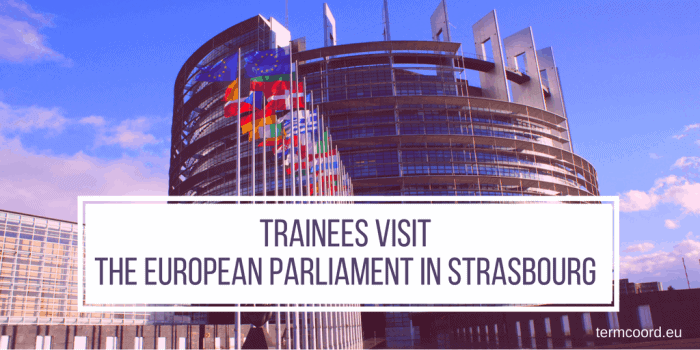 trainees visit the european parliament in strasbourg